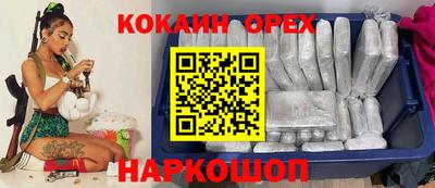 твердый Кингисепп
