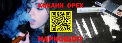 твердый Кингисепп