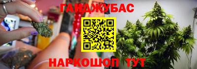 дмт Кимры