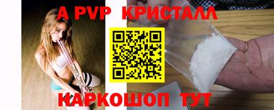 твердый Кингисепп