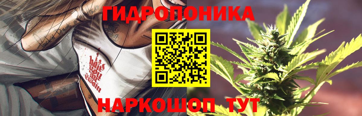 Канабис гибрид Чехов